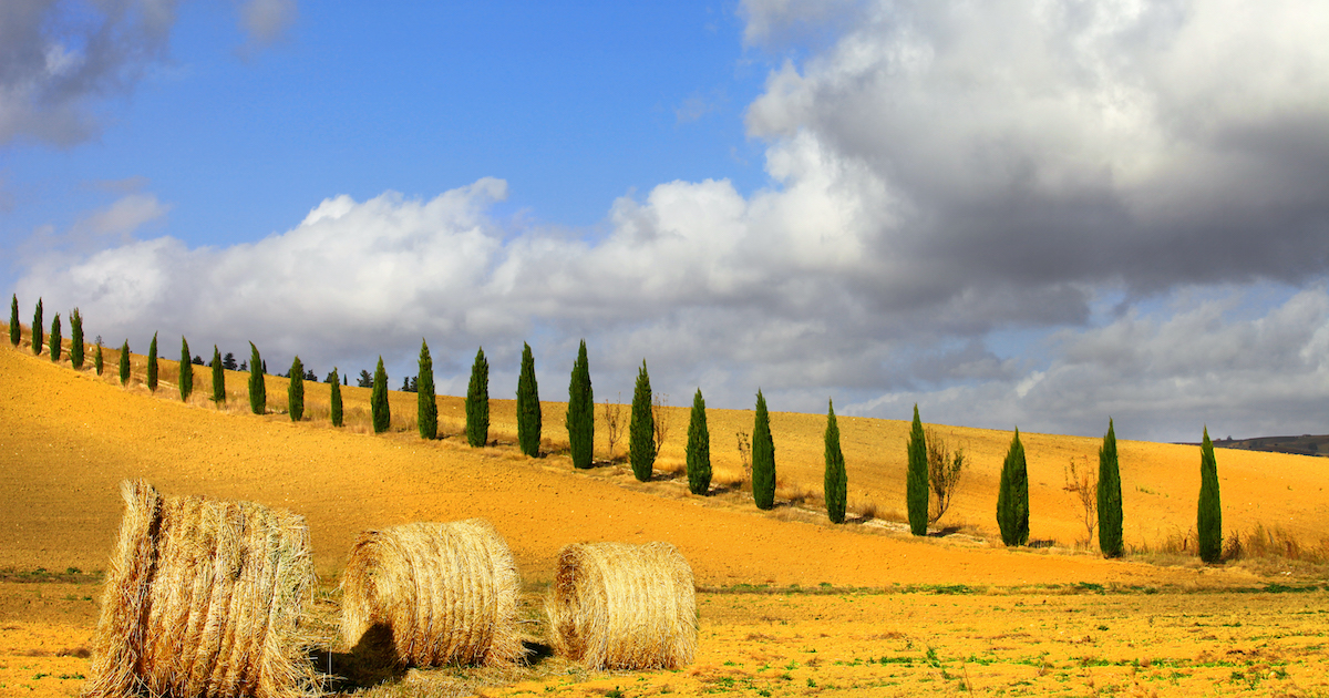 golden hills of Tuscany. Italian landscapes