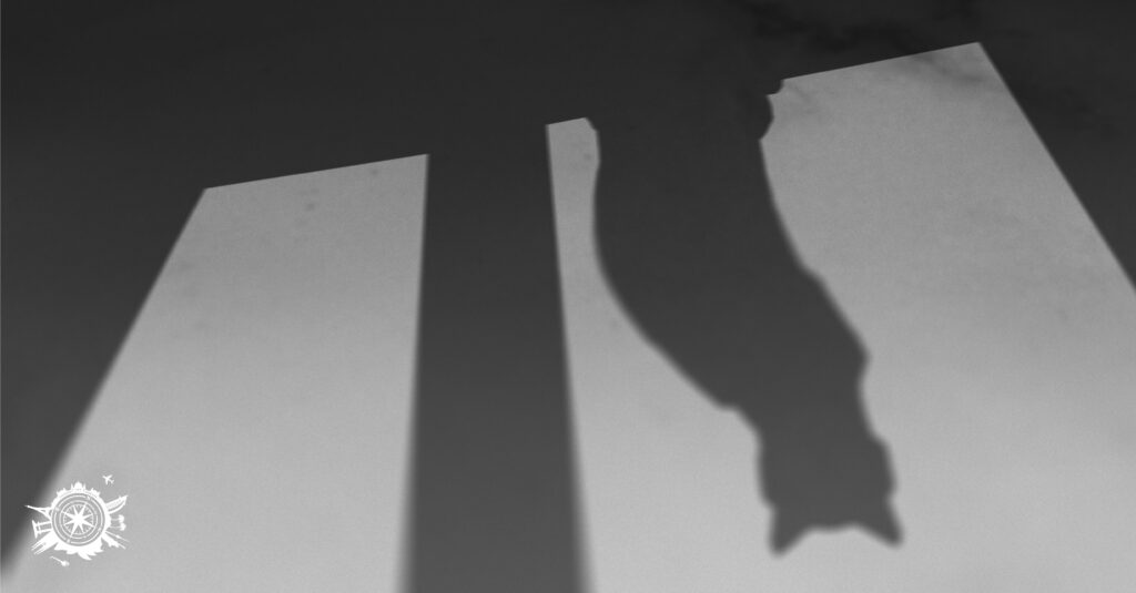 Őrült vagy éppen vicces és nevetséges babonák, nincs a földön olyan ember, aki ne lenne akár csak egy picit is babonás. Tévhit vagy sem? KATTINTS >>>