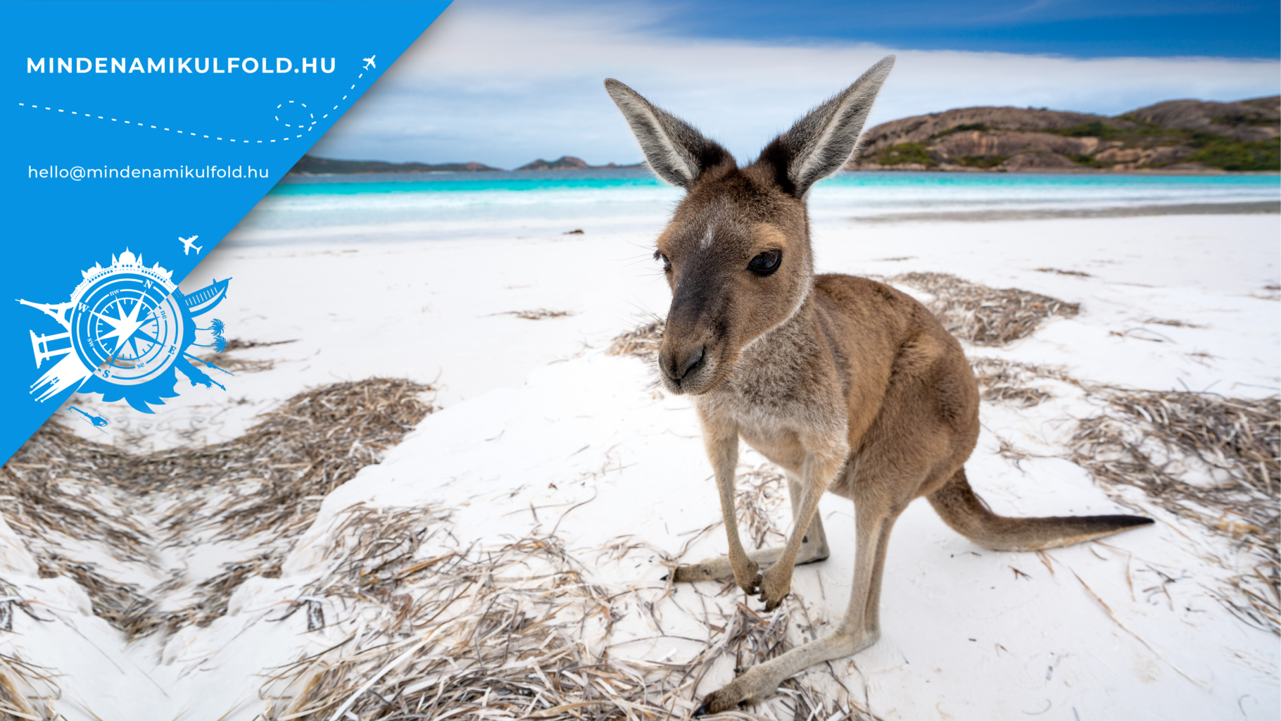 Ausztráliába utaznál? Csodás ország, ahol nagyon különleges állatokkal találkozhatsz, amik csak ITT ŐSHONOSAK>>>