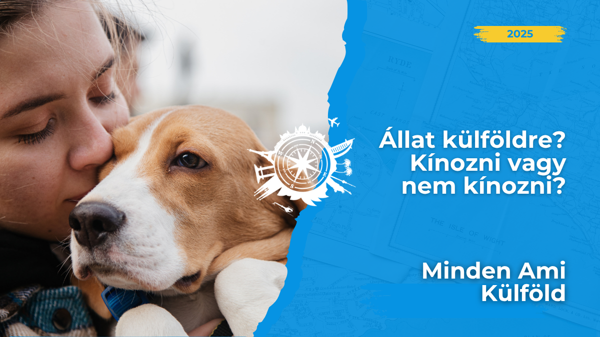Állat külföldre? 🐈 Tudom, családtag, de kínozni vagy nem kínozni. 🐕 Sőt mit több, beengedik vagy be sem engedik? Részlekért klikk a cikkre!